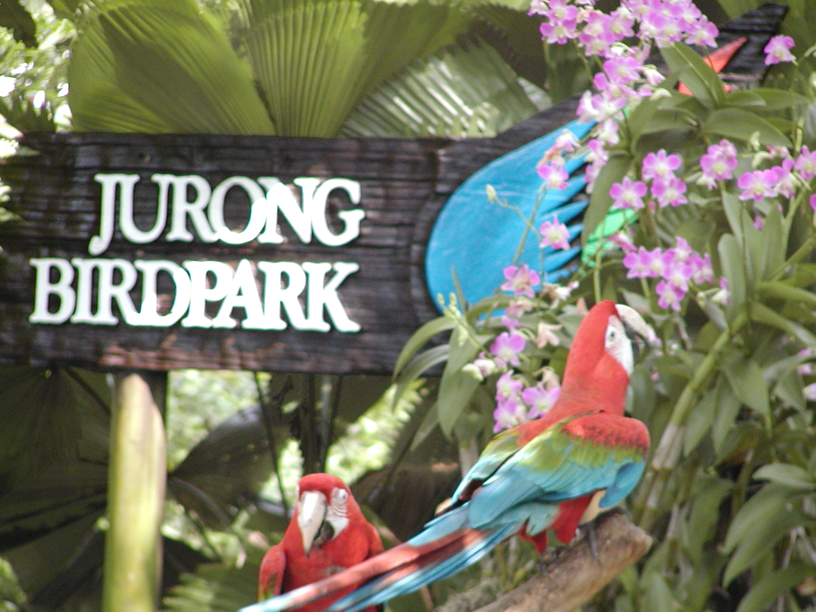 Jurong Birdpark - June 2005 - 075