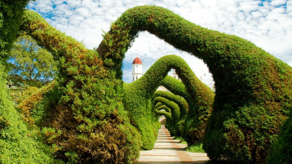 parque-francisco-alvarado-topiaries-zancera-costa-rica-jpg-rend-tccom-966-544